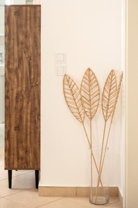 Apartament Spiros House Svoronata Zewnętrze zdjęcie